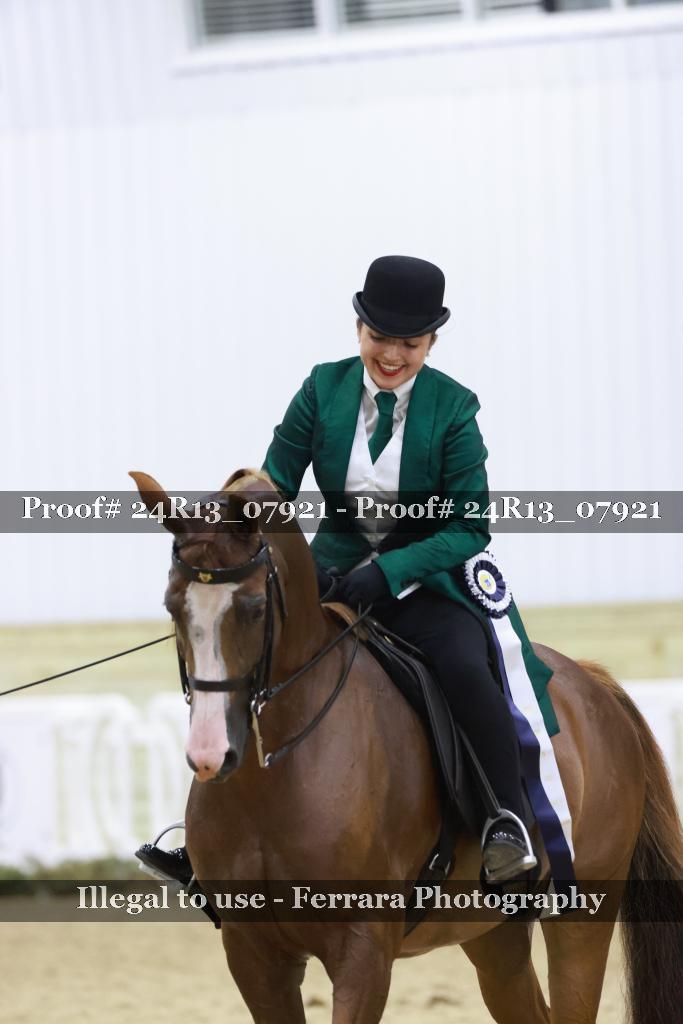 Proof 24R13_07921