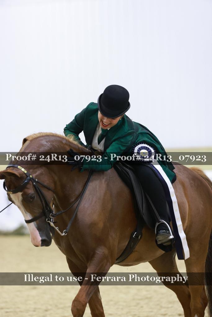 Proof 24R13_07923