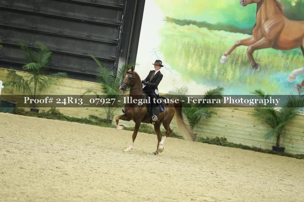 Proof 24R13_07927