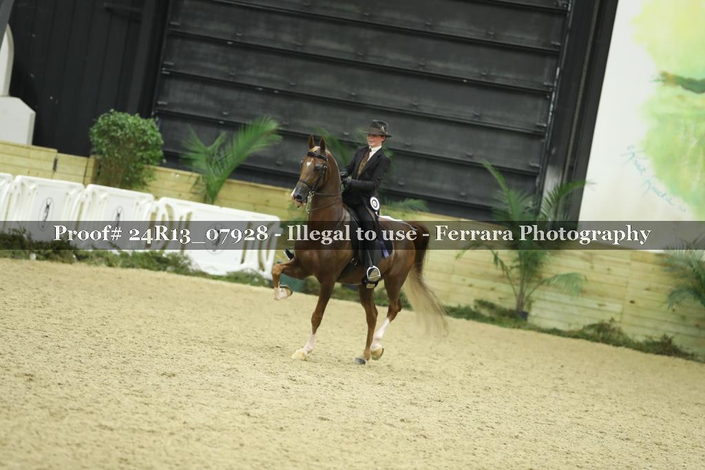 Proof 24R13_07928