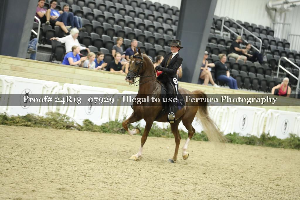 Proof 24R13_07929