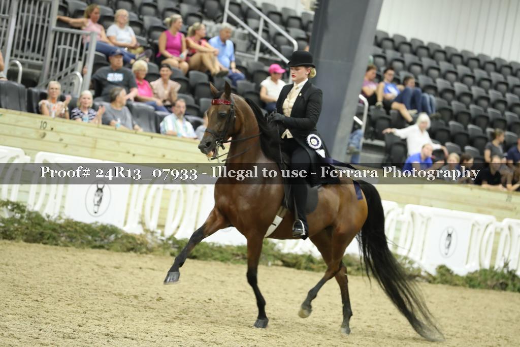 Proof 24R13_07933