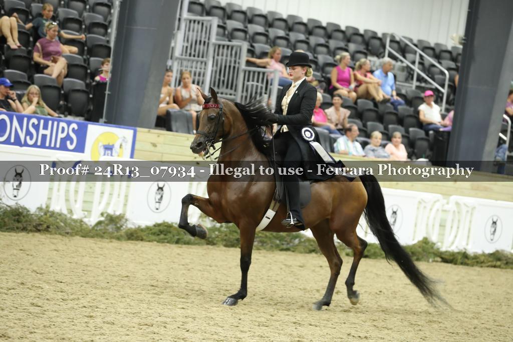 Proof 24R13_07934