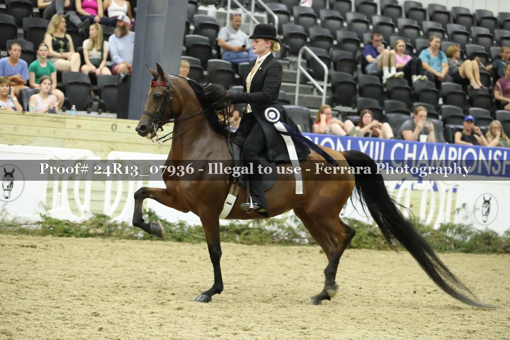 Proof 24R13_07936