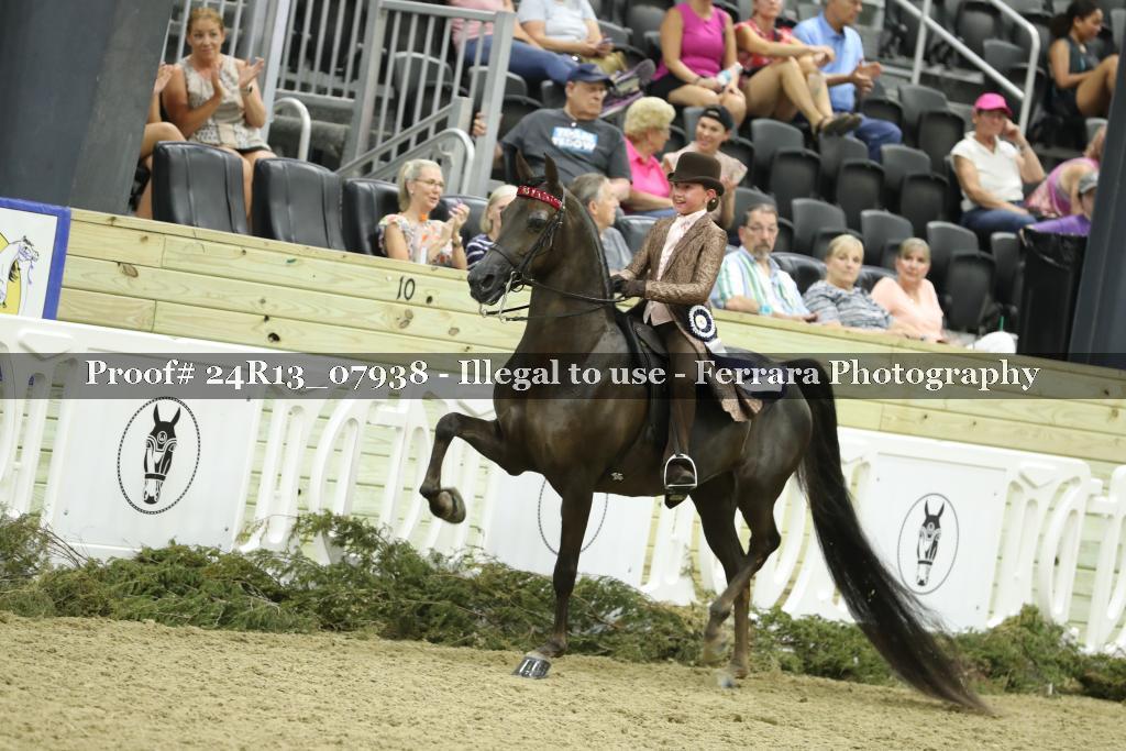 Proof 24R13_07938