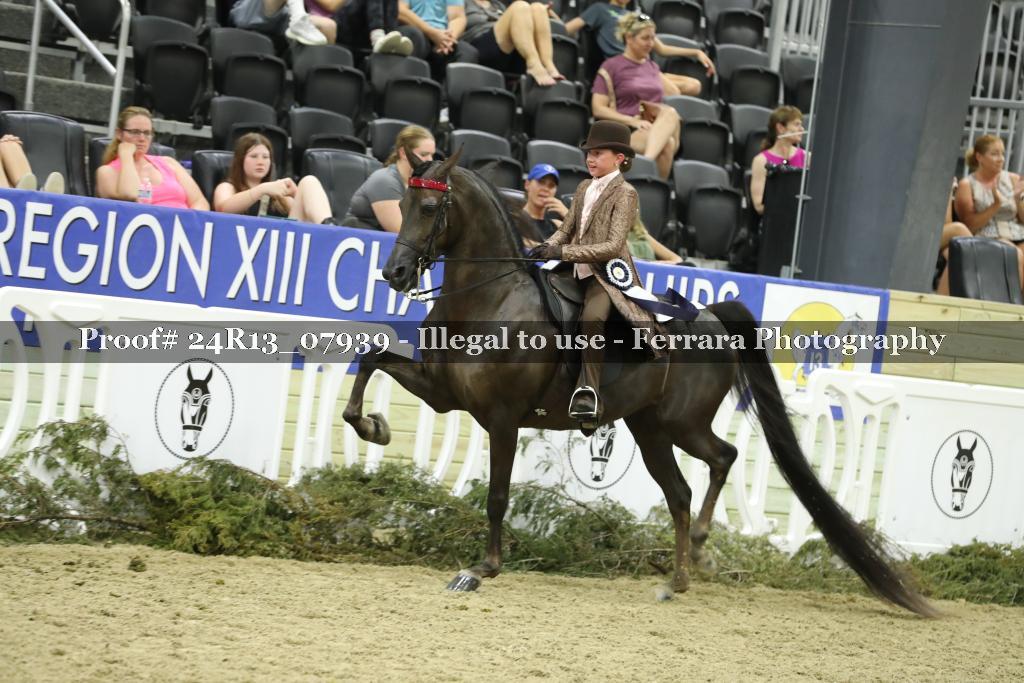 Proof 24R13_07939