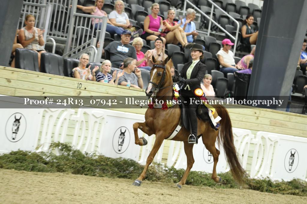 Proof 24R13_07942