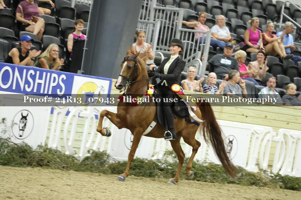 Proof 24R13_07943