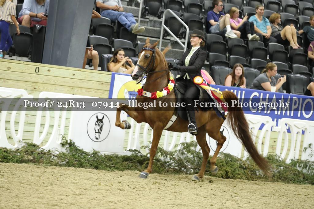 Proof 24R13_07944