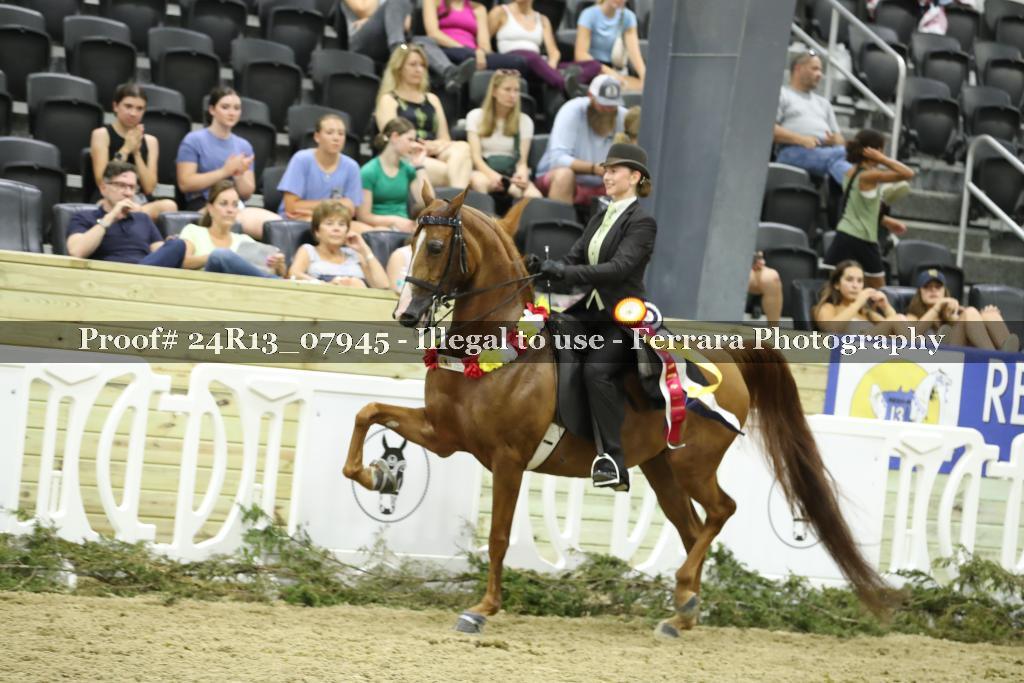 Proof 24R13_07945