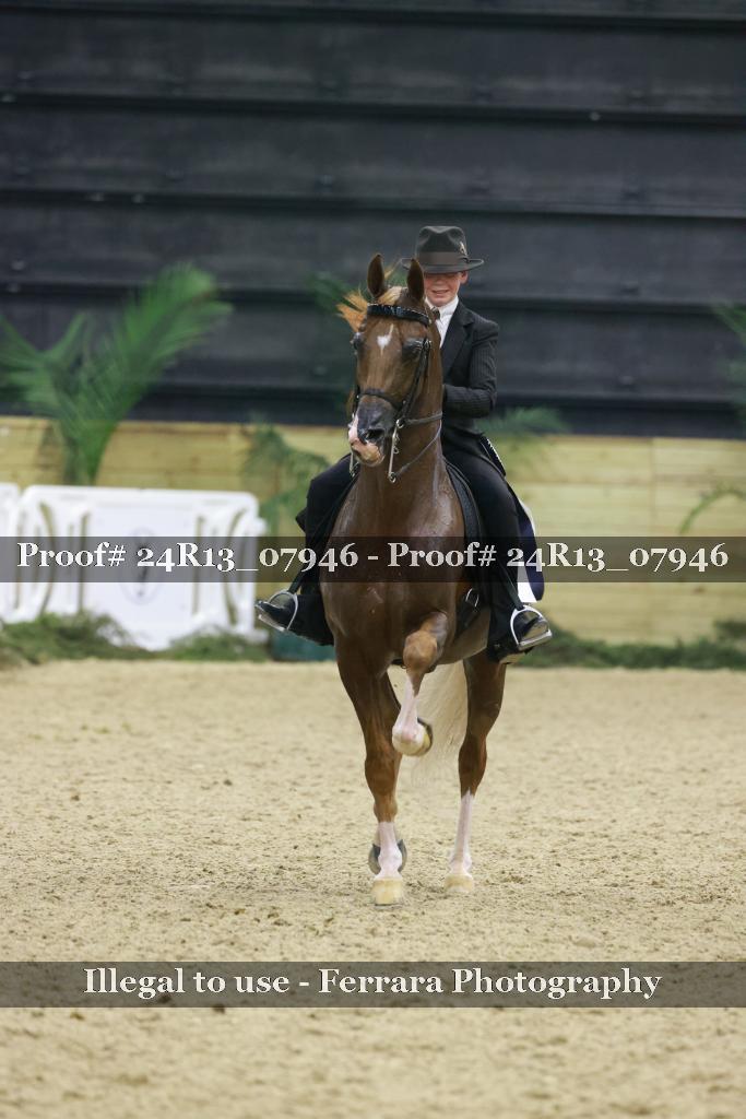 Proof 24R13_07946