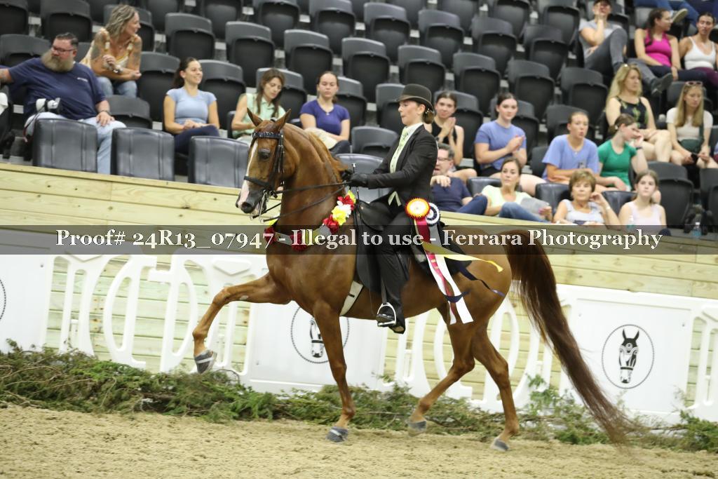 Proof 24R13_07947