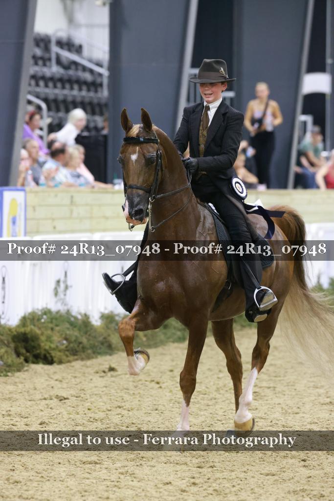 Proof 24R13_07948