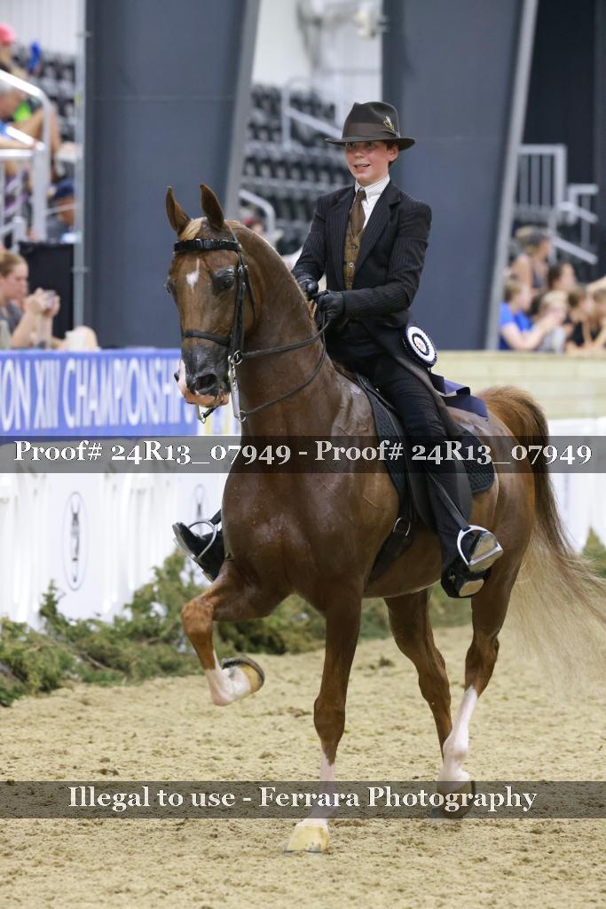 Proof 24R13_07949