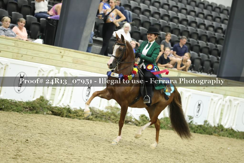 Proof 24R13_07951