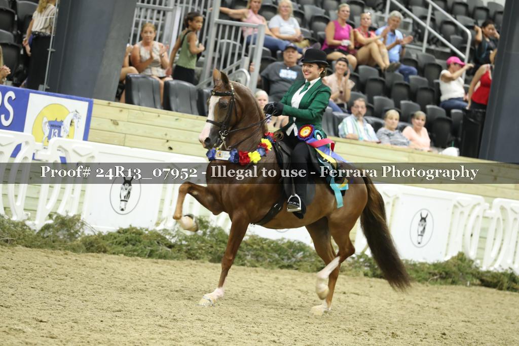 Proof 24R13_07952