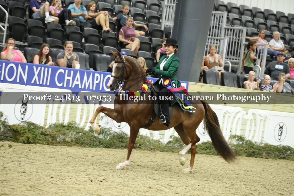 Proof 24R13_07953