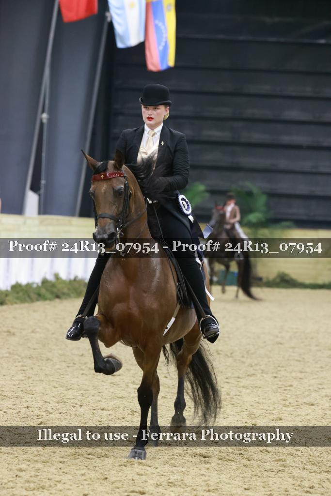 Proof 24R13_07954