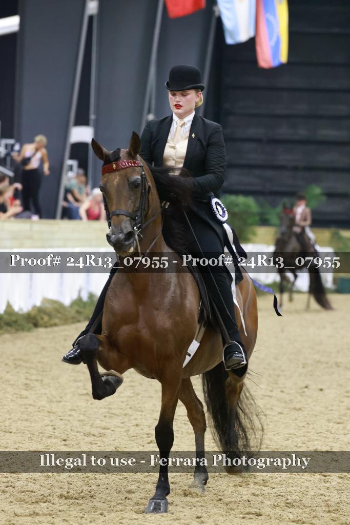 Proof 24R13_07955