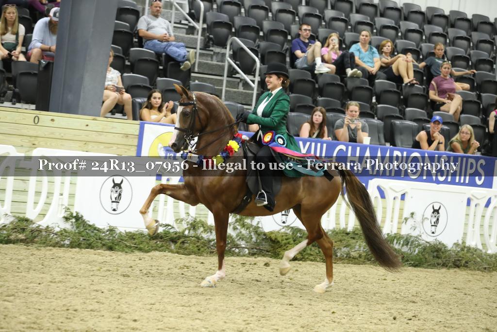 Proof 24R13_07956