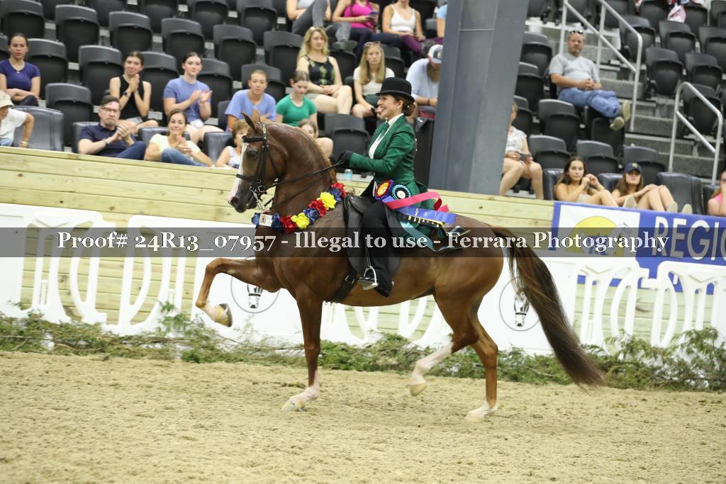 Proof 24R13_07957