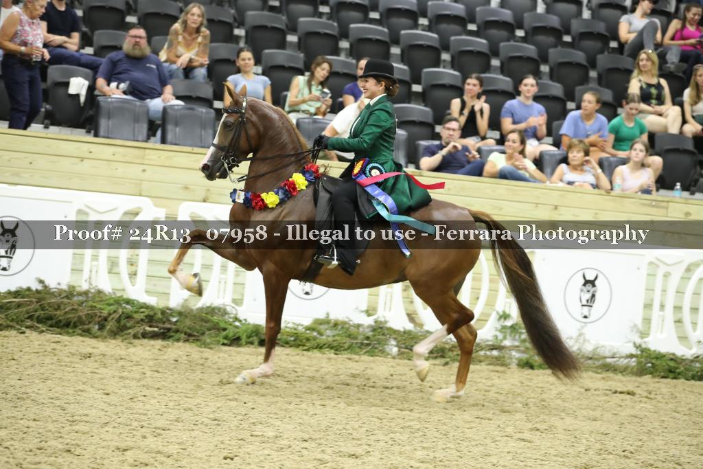 Proof 24R13_07958