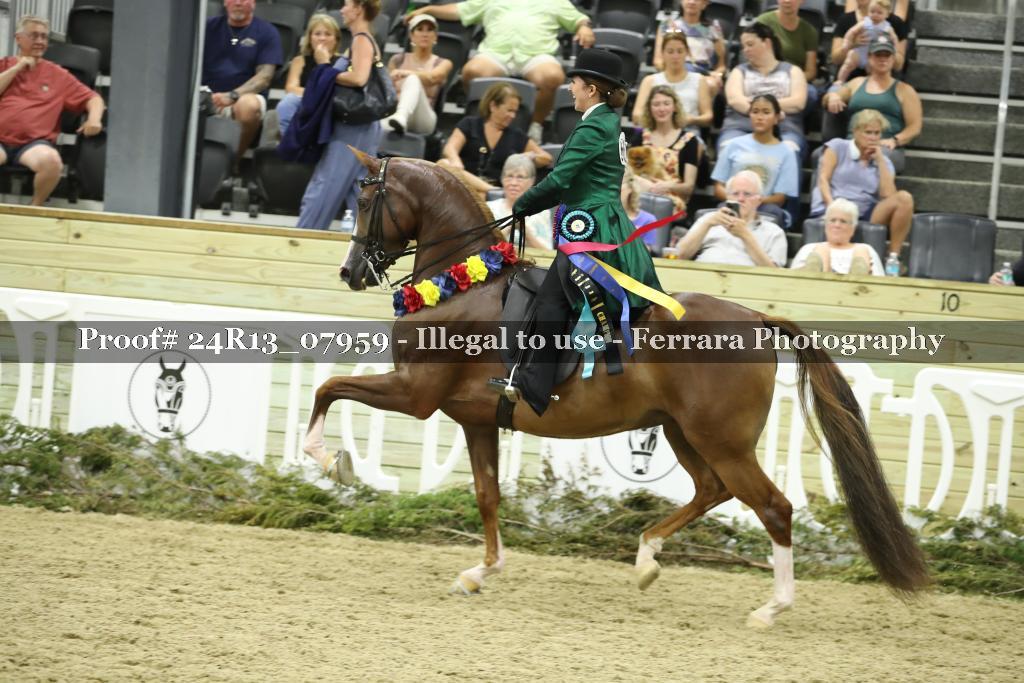 Proof 24R13_07959
