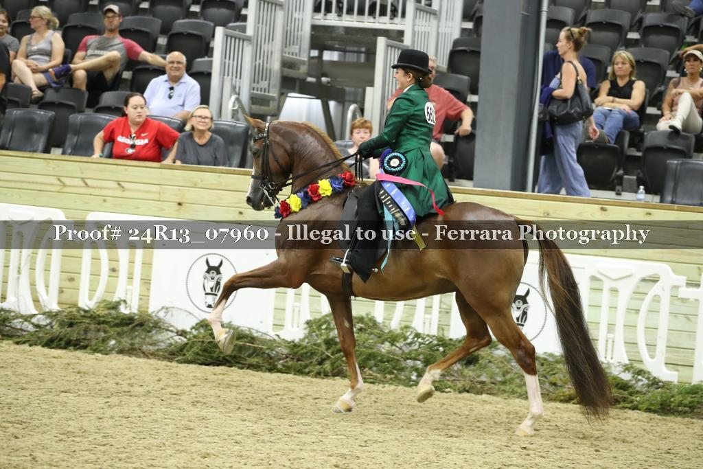 Proof 24R13_07960