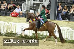 24R13_07960 proof