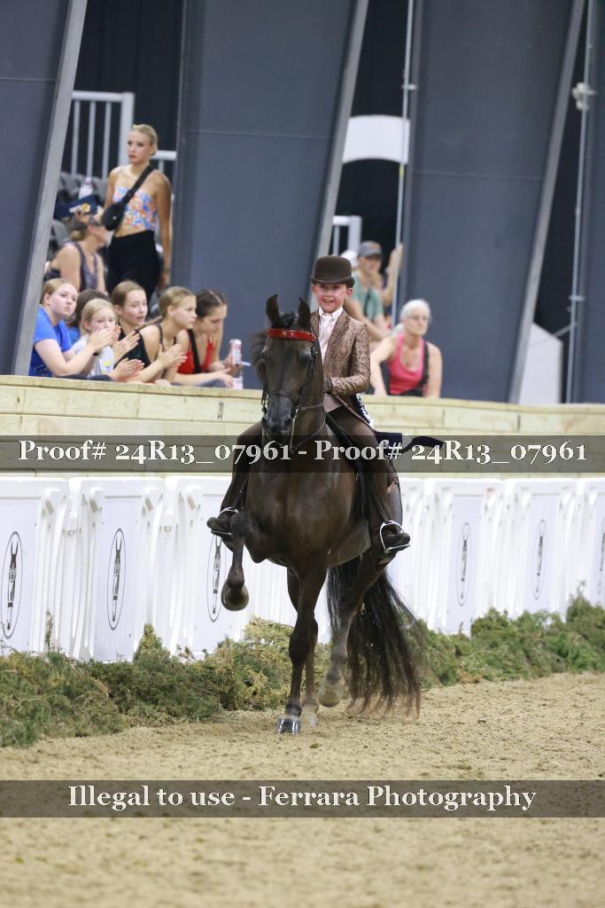 Proof 24R13_07961
