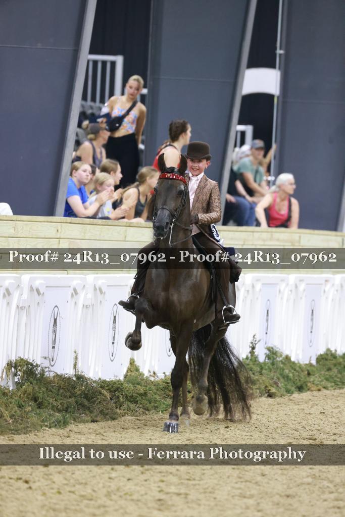 Proof 24R13_07962