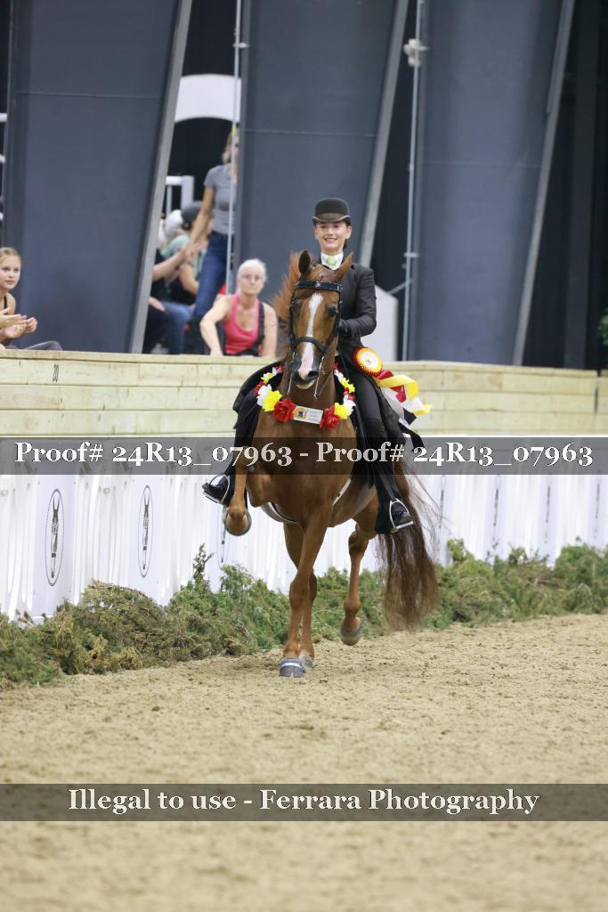 Proof 24R13_07963