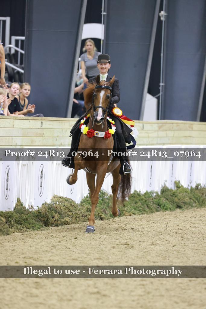 Proof 24R13_07964