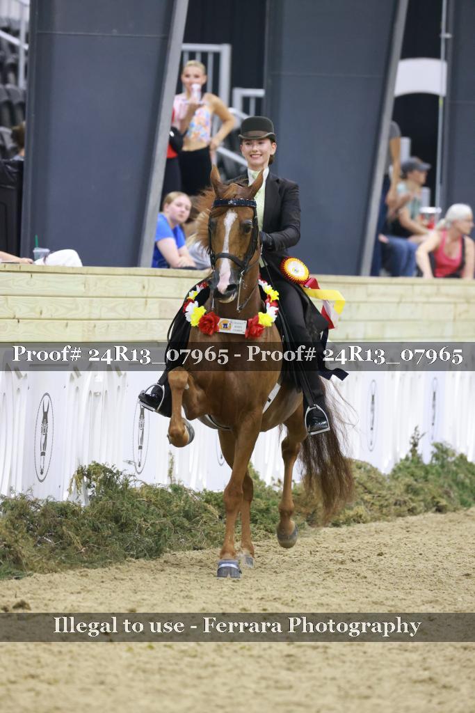 Proof 24R13_07965