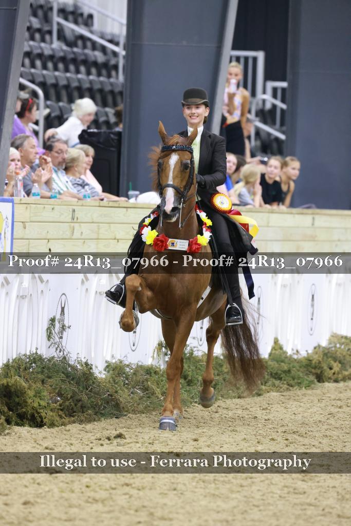 Proof 24R13_07966