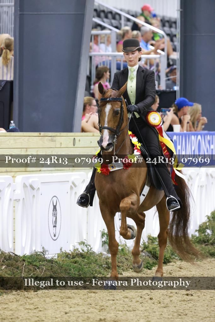Proof 24R13_07969