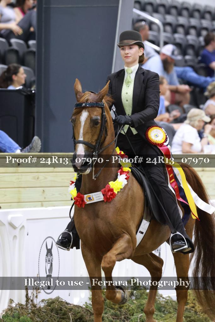 Proof 24R13_07970