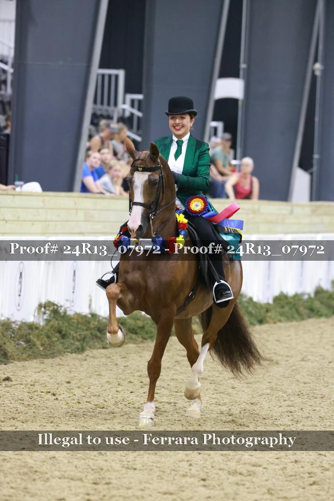 Proof 24R13_07972