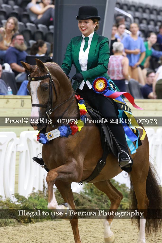Proof 24R13_07973