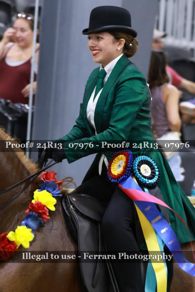 Proof 24R13_07976
