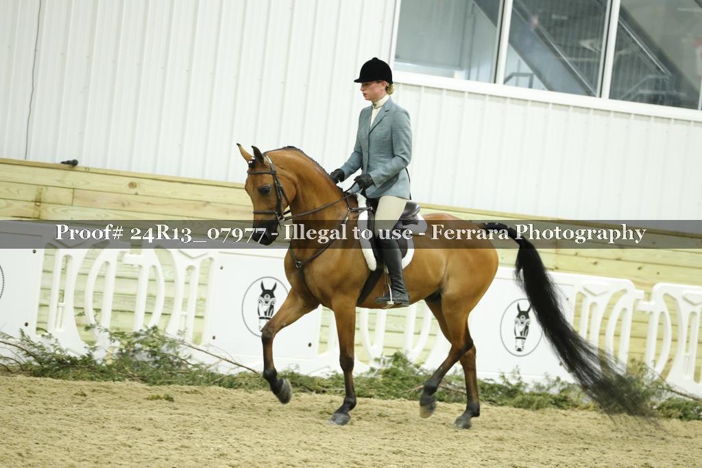 Proof 24R13_07977