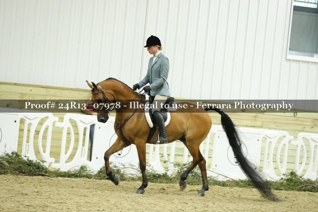 Proof 24R13_07978