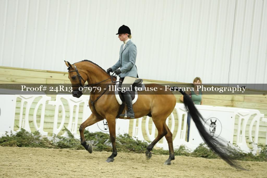 Proof 24R13_07979