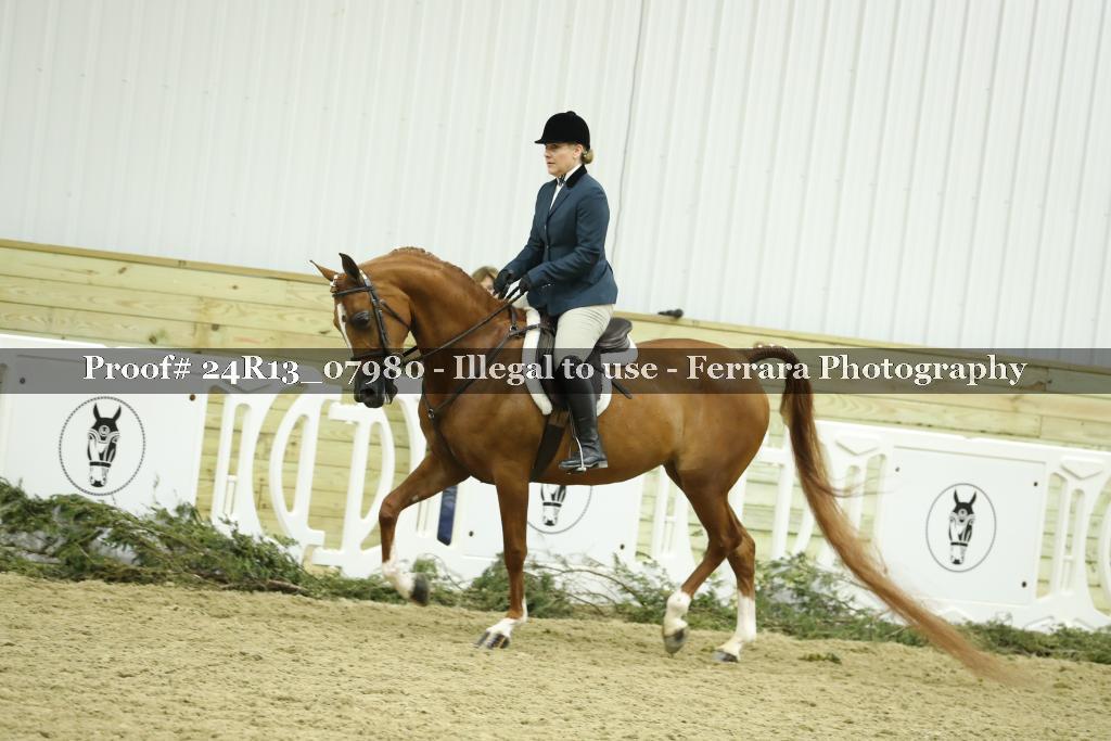 Proof 24R13_07980