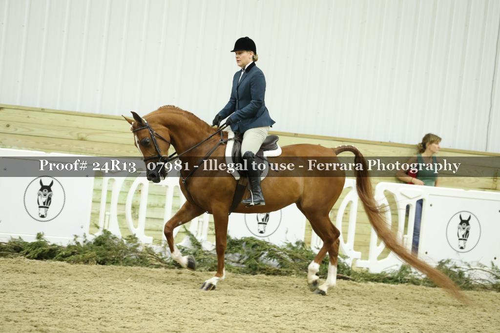 Proof 24R13_07981