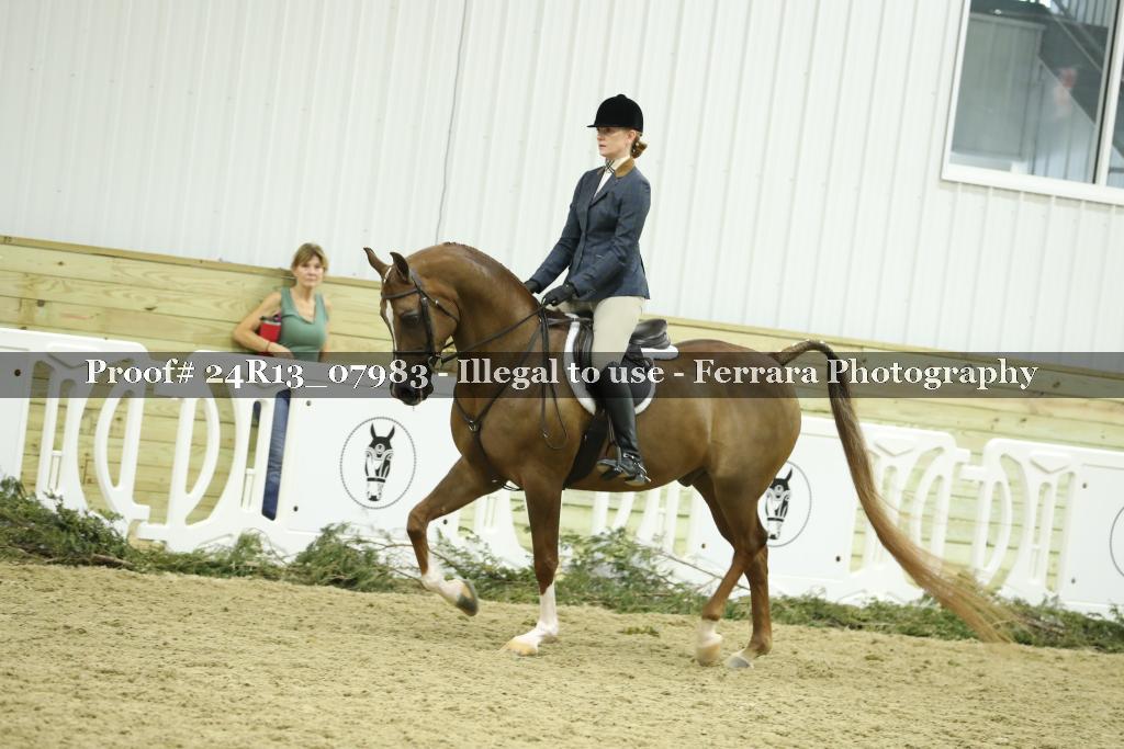 Proof 24R13_07983