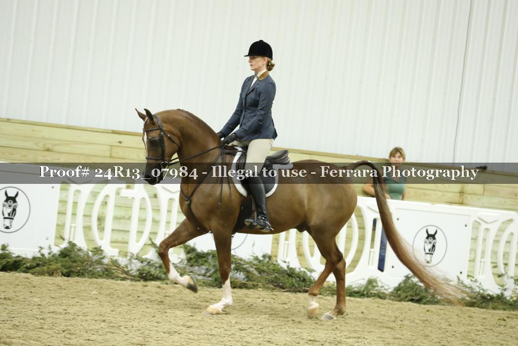 Proof 24R13_07984
