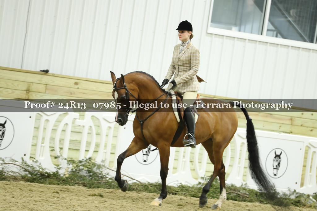 Proof 24R13_07985