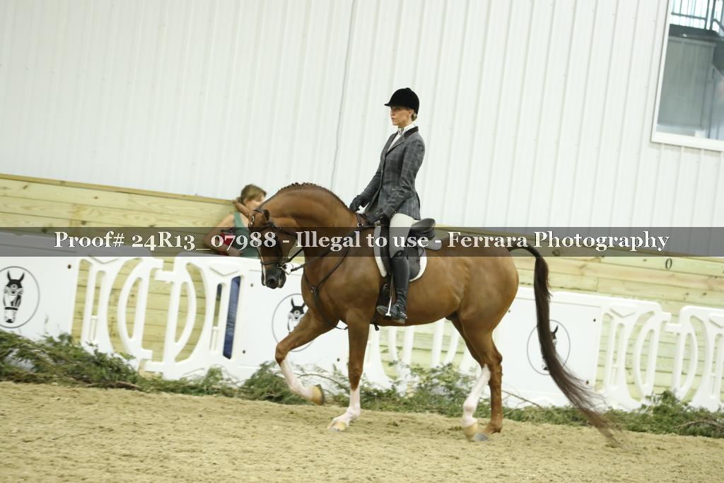 Proof 24R13_07988