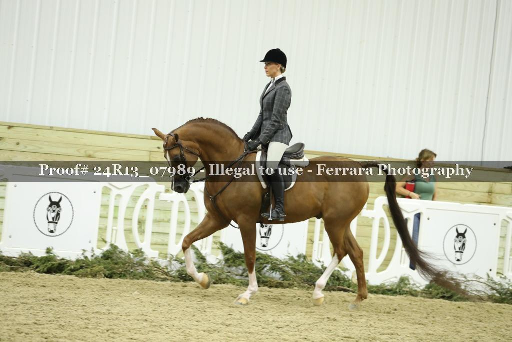 Proof 24R13_07989
